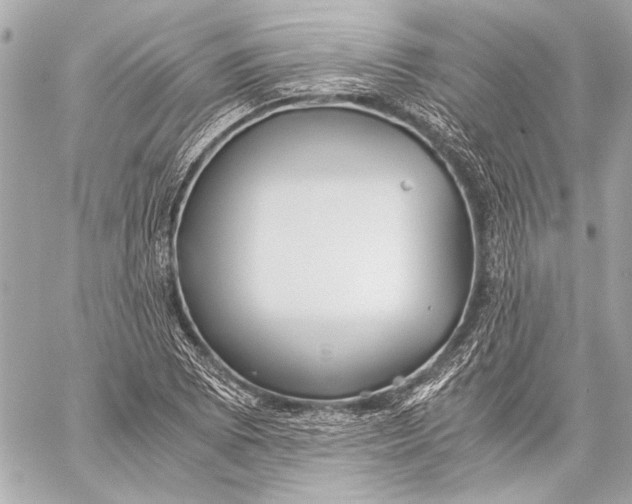 X0000057061073200510071400