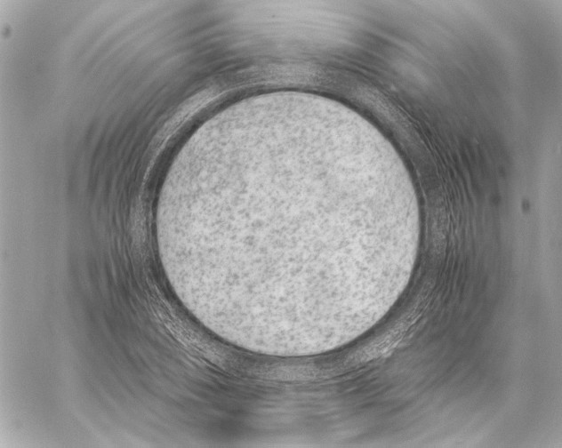 X0000057061074200510071400