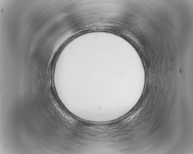 X0000057061075200510071400