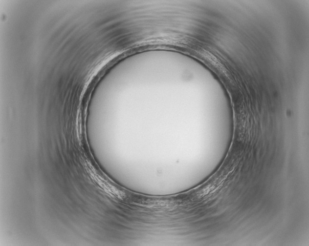 X0000057061076200510071400