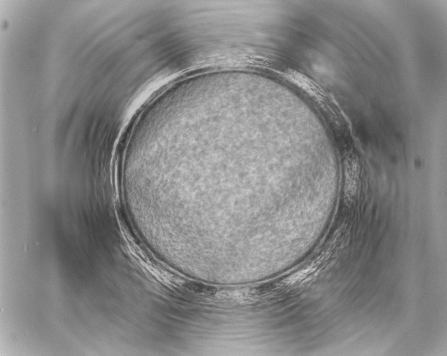 X0000057061078200510071400