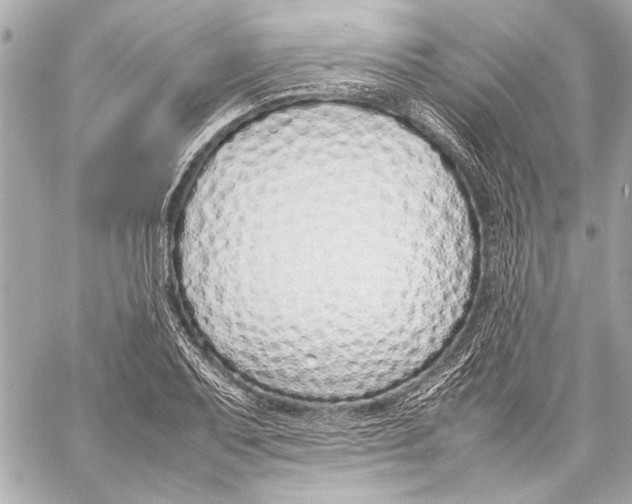 X0000057061079200510071400