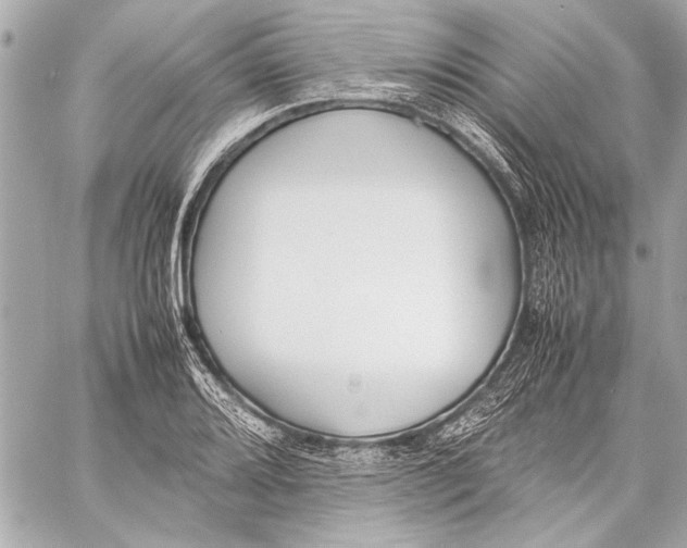 X0000057061080200510071400