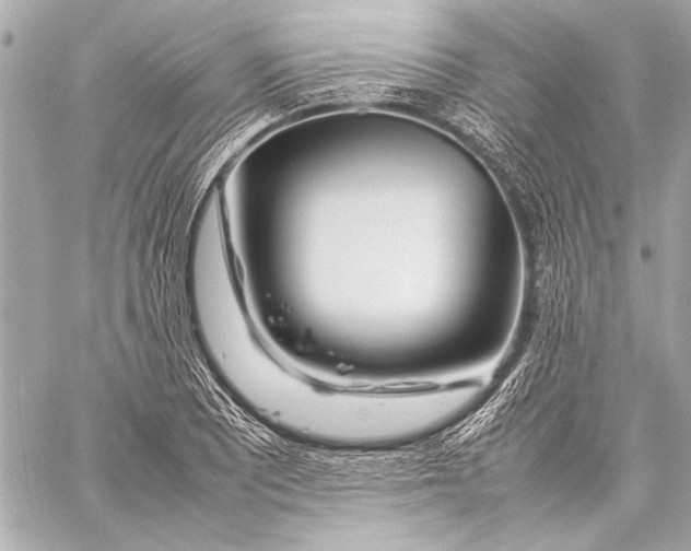 X0000057061081200510071400