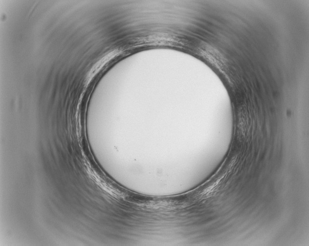 X0000057061082200510071400