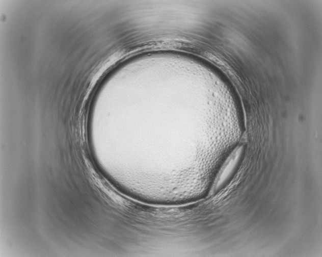 X0000057061083200510071400