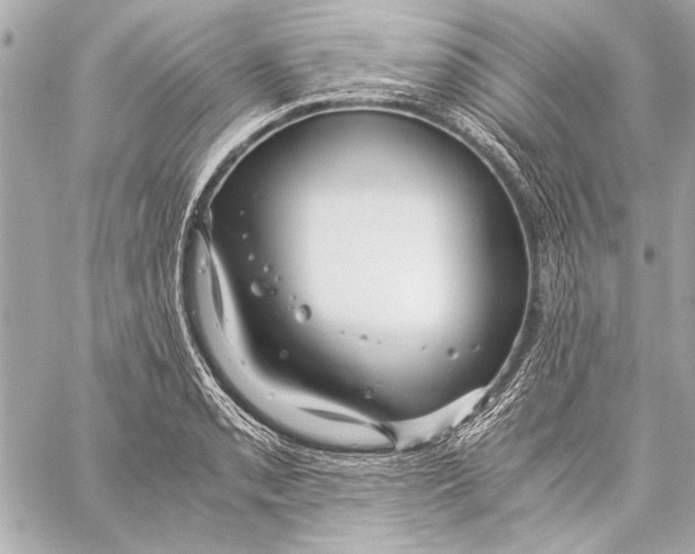 X0000057061085200510071400