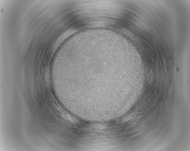 X0000057061086200510071400