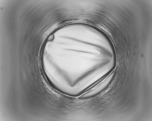 X0000057061087200510071400