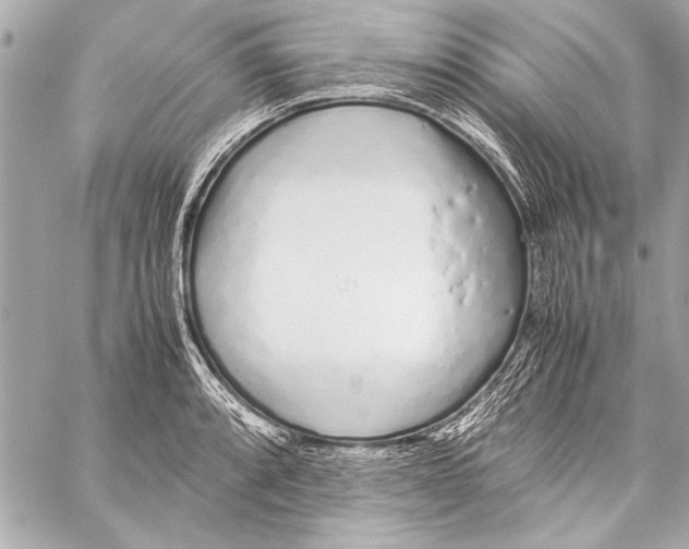 X0000057061088200510071400