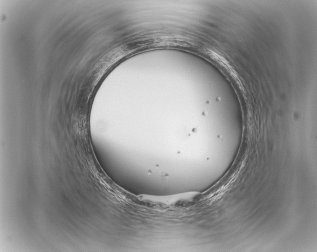 X0000057061089200510071400