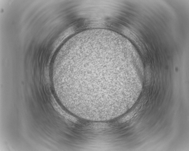 X0000057061090200510071400