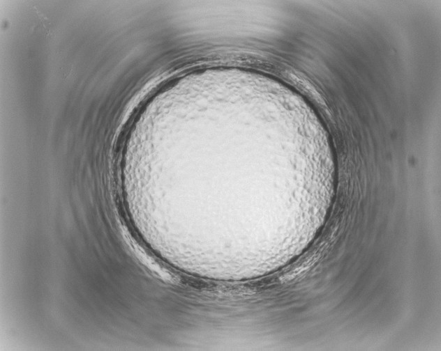 X0000057061091200510071400