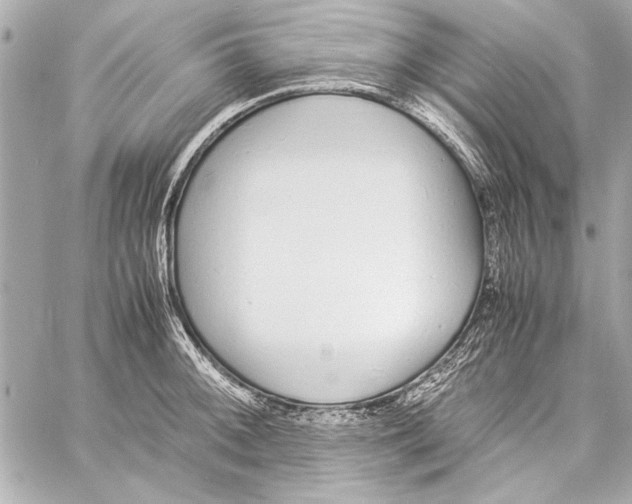 X0000057061092200510071400