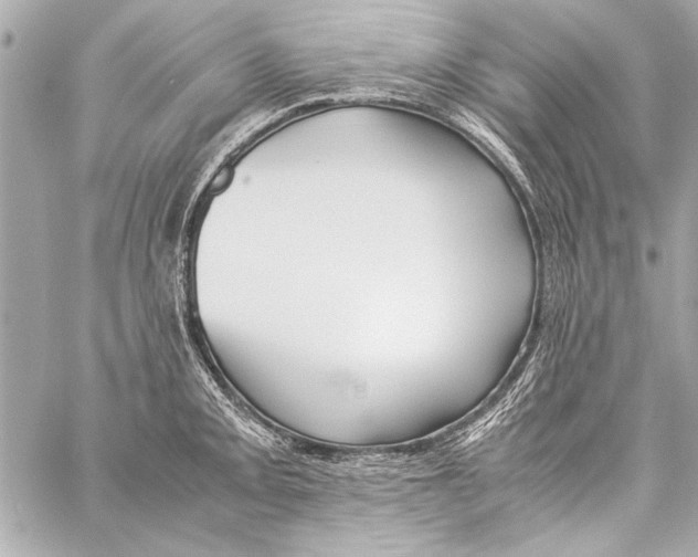 X0000057061093200510071400