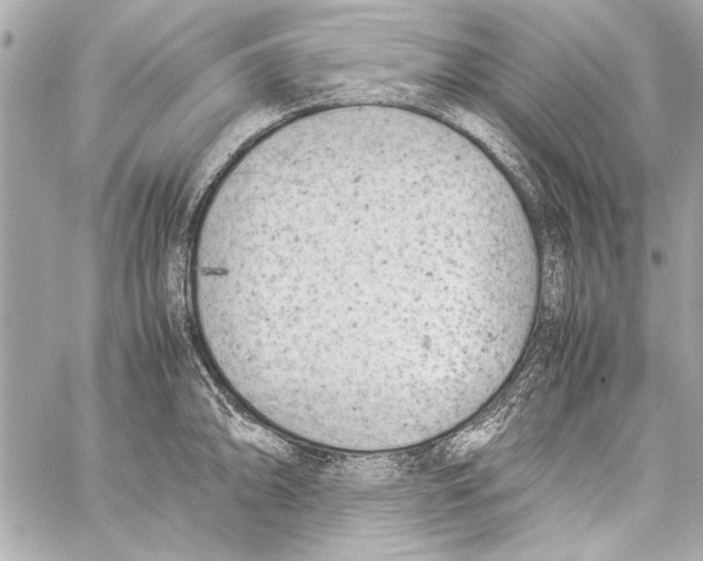 X0000057061094200510071400