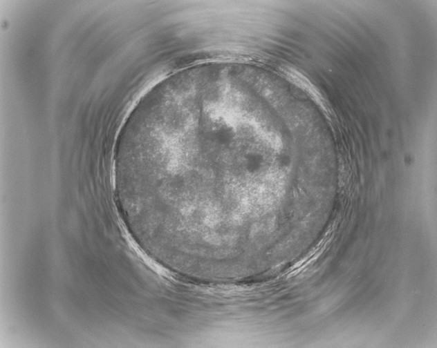 X0000057061095200510071400