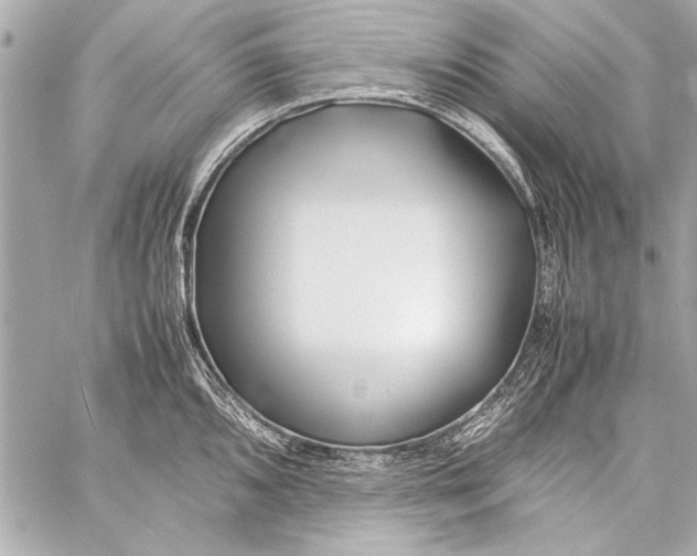 X0000057061096200510071400