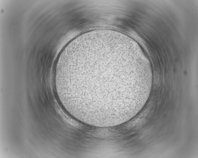 X0000057061098200510071400