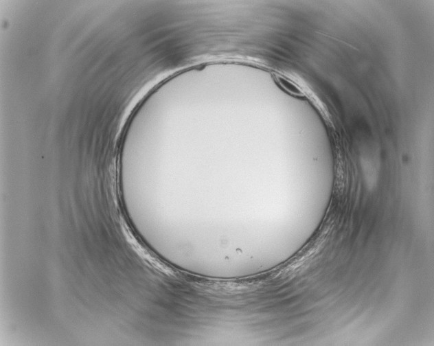 X0000057061100200510071400