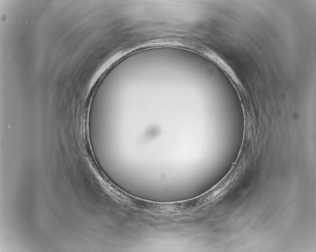 X0000057061101200510071400