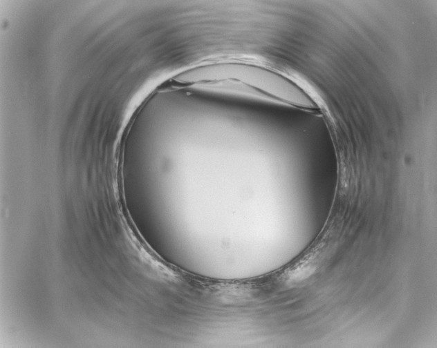 X0000057061102200510071400