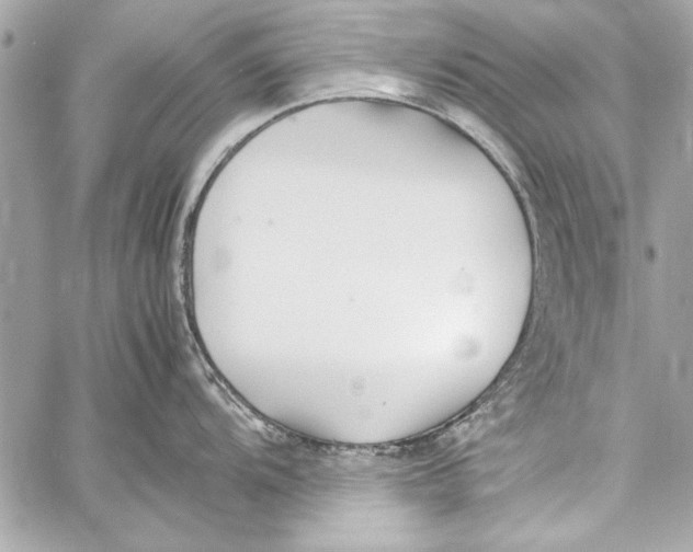 X0000057061104200510071400