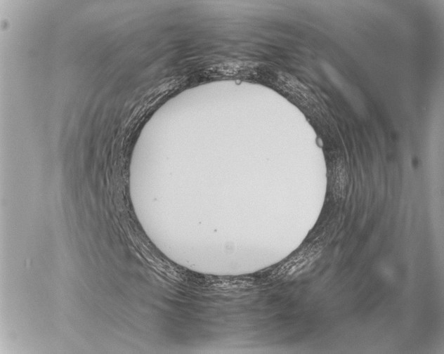 X0000057061105200510071359