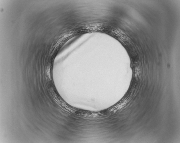 X0000057061106200510071359