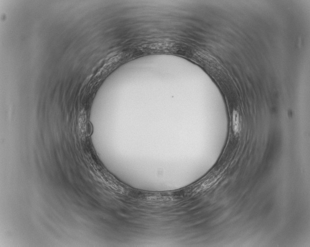 X0000057061107200510071359