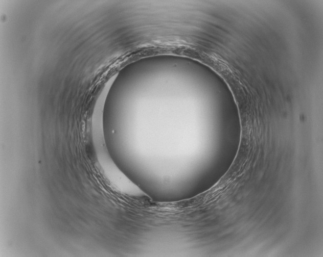 X0000057061110200510071359