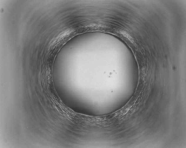 X0000057061111200510071359