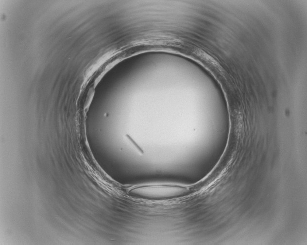 X0000057061114200510071359