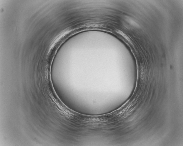 X0000057061115200510071359