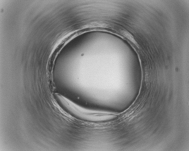 X0000057061116200510071359