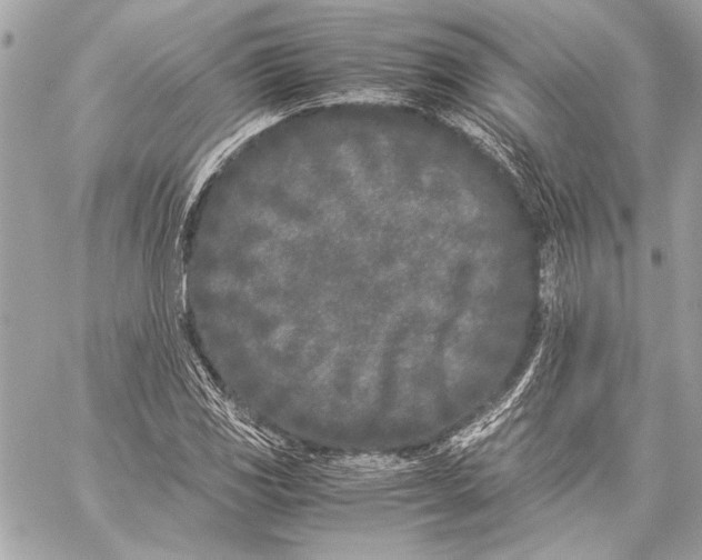 X0000057061117200510071359