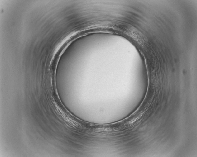 X0000057061118200510071359