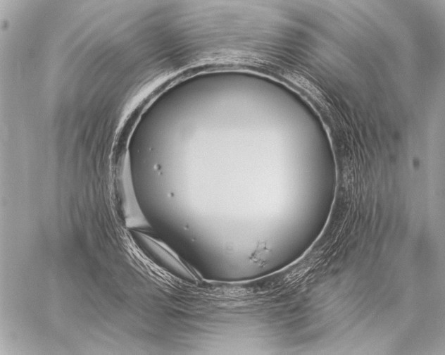 X0000057061120200510071359