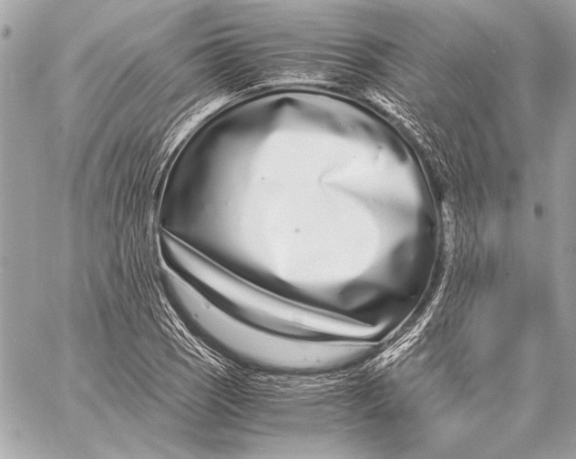 X0000057061121200510071359