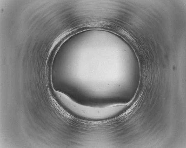 X0000057061122200510071359