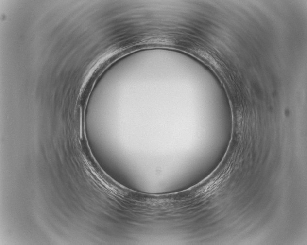 X0000057061123200510071359