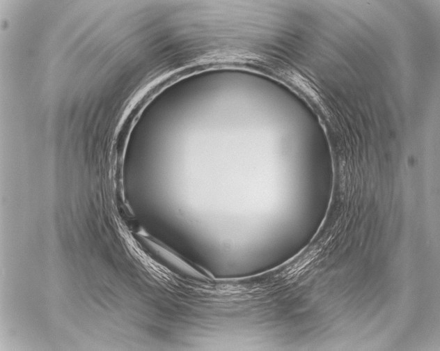 X0000057061124200510071359