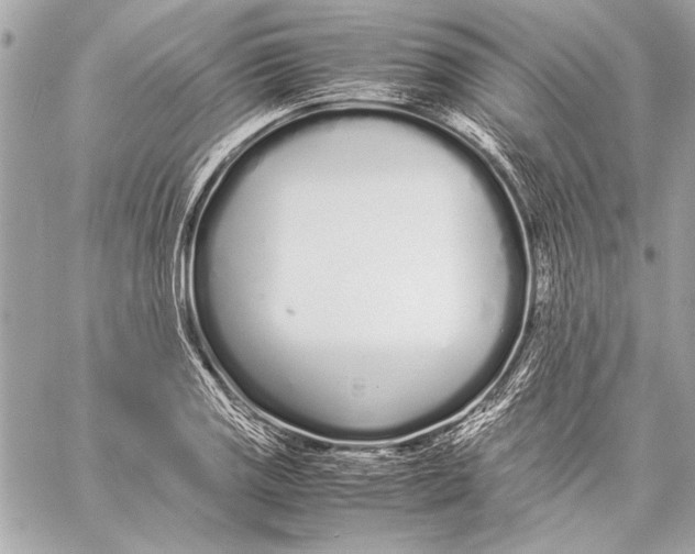 X0000057061125200510071359