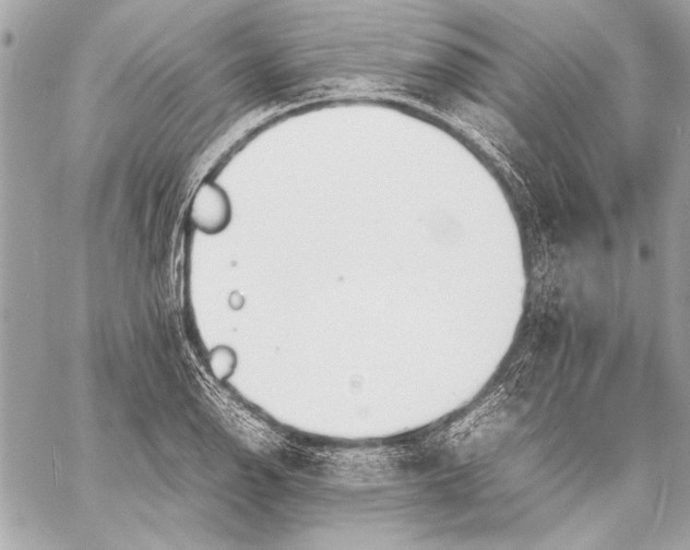 X0000057061126200510071359