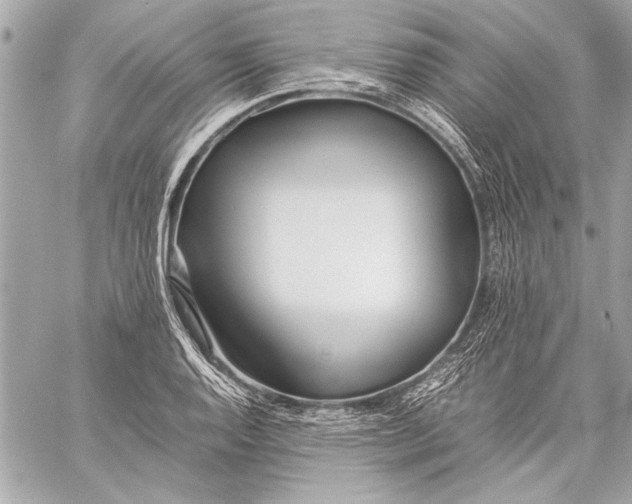 X0000057061128200510071359