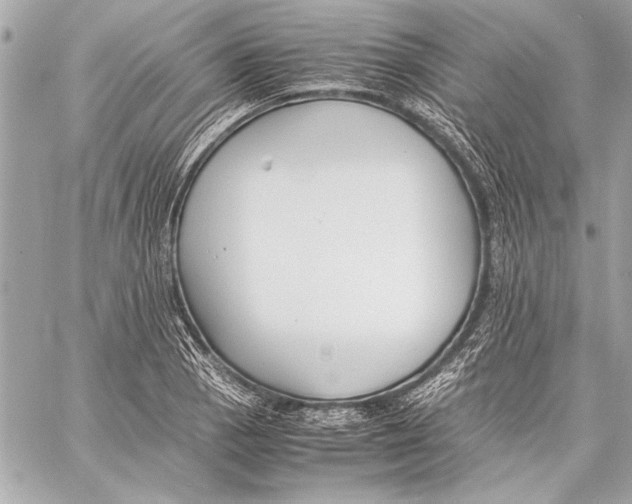 X0000057061129200510071400