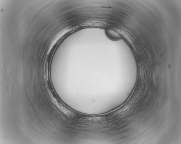 X0000057061131200510071400