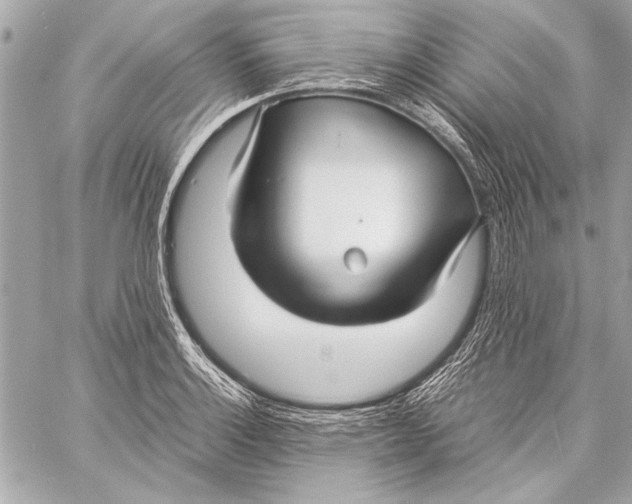 X0000057061132200510071400