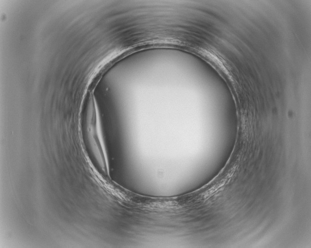 X0000057061133200510071400