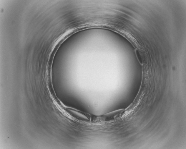 X0000057061134200510071400